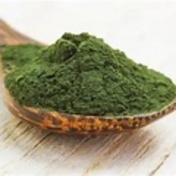 Spinach Powder
