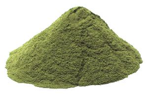 Fresh Karela Powder