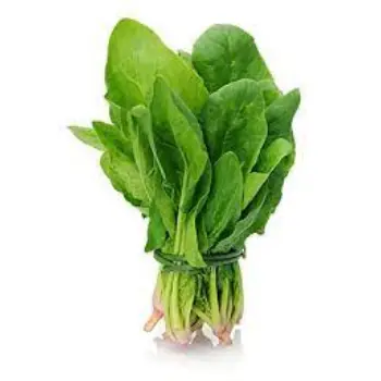 Natural Fresh Spinach