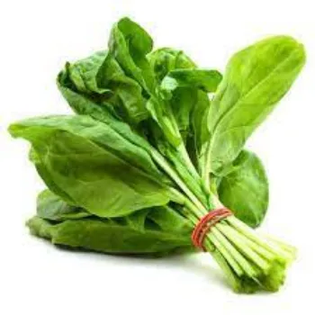 Common  Fresh Spinach