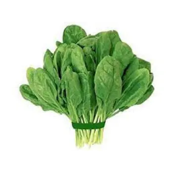 Common Fresh Spinach