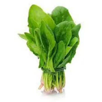 Common Fresh Spinach