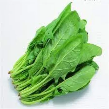 Natural Fresh Spinach 