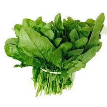 Natural Fresh Spinach