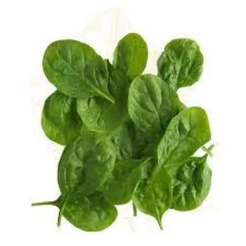 Common Fresh Spinach