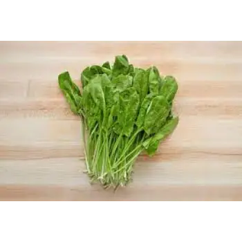 Common Fresh Spinach