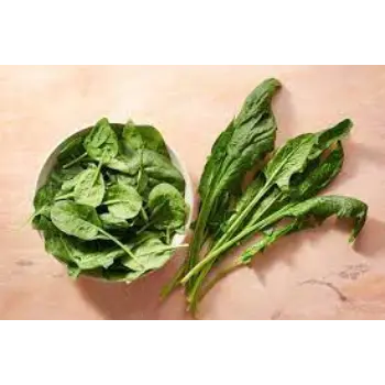 Common Fresh Spinach