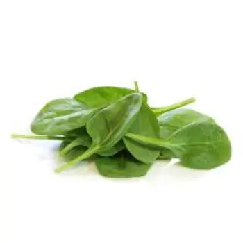 Common Spinach