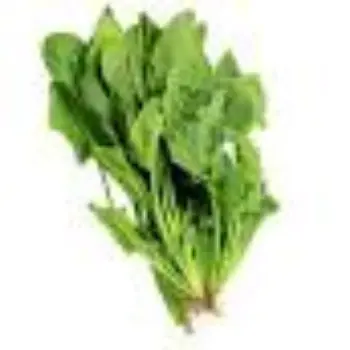 Natural Fresh Spinach