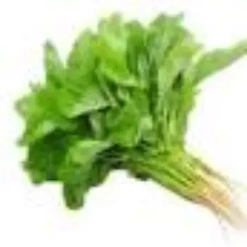 Common Fresh Spinach