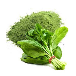 Natural Spinach Powder