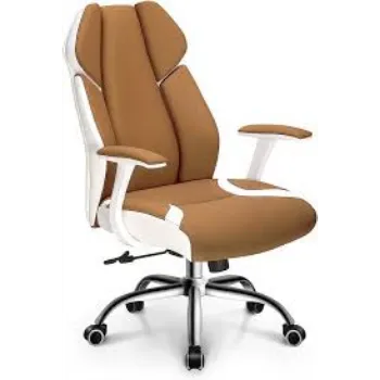 Attractive Designs Spring Chair