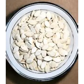 Natural Squash Seed