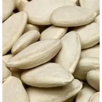 Squash Seed