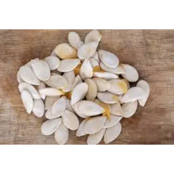 Squash Seed