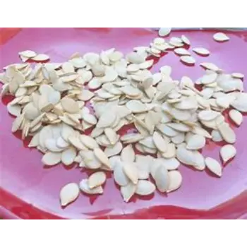 Squash Seed