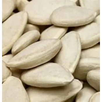 Squash Seed