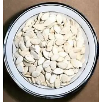 Squash Seed