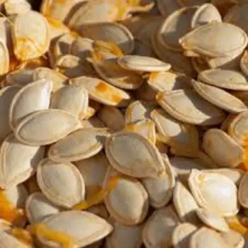 Natural Squash Seed
