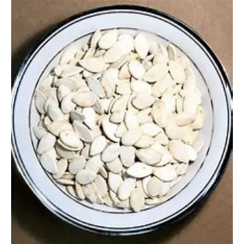 Squash Seed