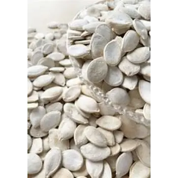 Squash Seed