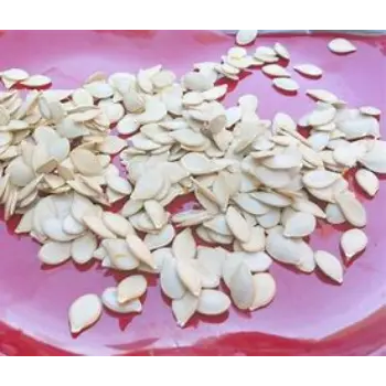 Fresh Squash Seed