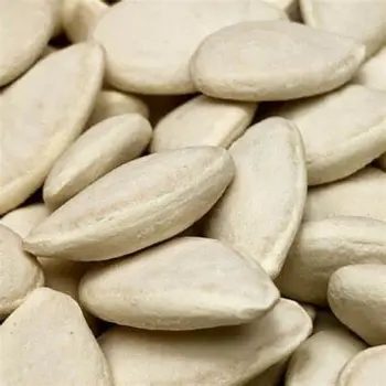 Fresh Squash Seed