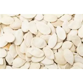Fresh Squash Seed