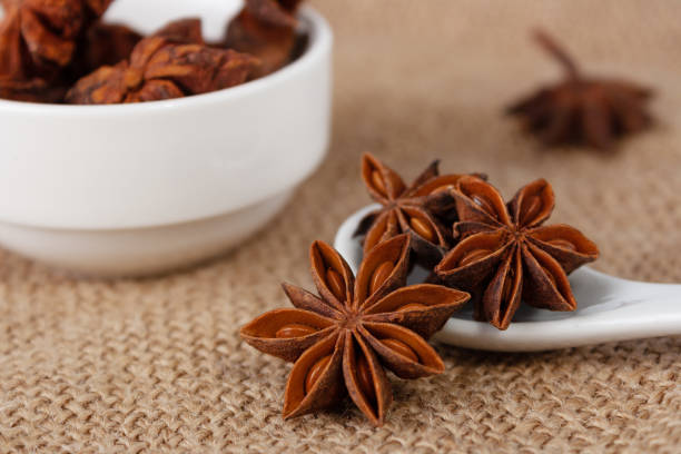 Common  Star Anise