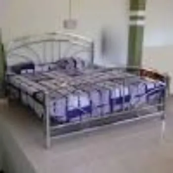  Attractive Stainless Steel Bed