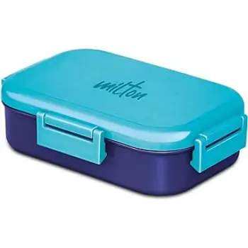 Natural Stainless Steel Lunch Box