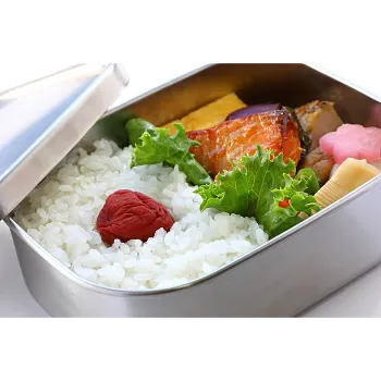 Flash Stainless Steel Lunch Box