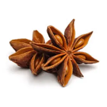 Organic  star anise Manufacturer, Wholesaler, Retailer, and Trader