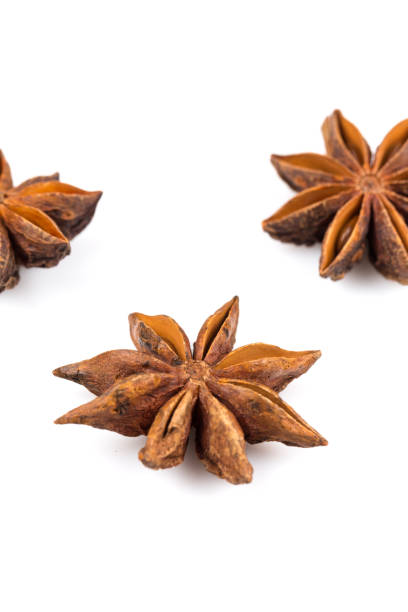 Common  Star Anise