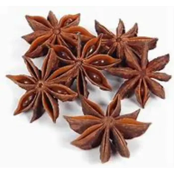 Common Star Anise Manufacturer, Exporter, Retailer, Trader, Distributor, and Importer