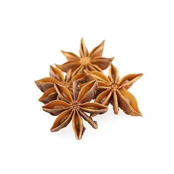 Fresh Star Anise