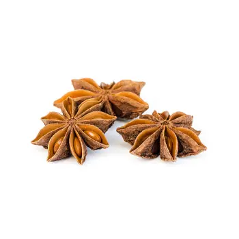  Common  Star Anise