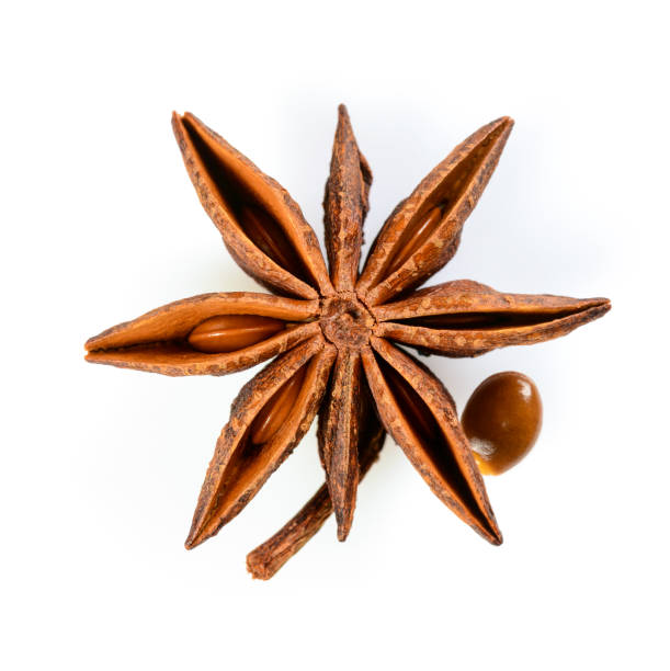 Common  Star Anise