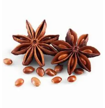 Fresh Star Anise Manufacturer, Exporter, Wholesaler, and Trader