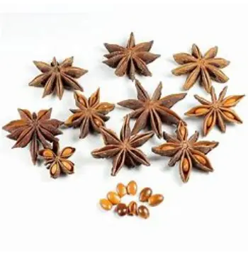 Fresh Star Anise
