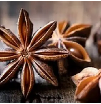 Fresh Star Anise