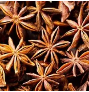 Fresh Star Anise