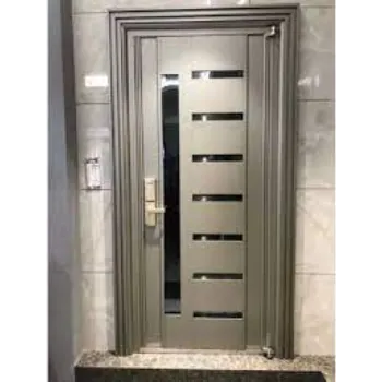 Matt Finish Steel Door