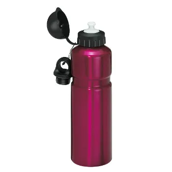 Cosmos Steel Sipper Bottle