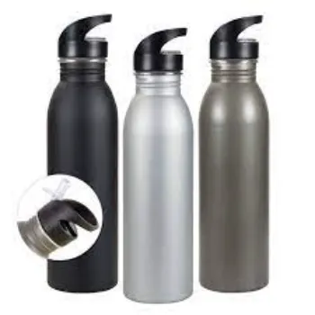 Web Steel Sipper Bottle