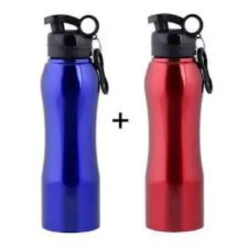  Multisize Steel Sipper Bottle