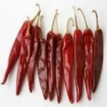 Common Stemless Red Chilli