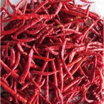 Stemless Red Chilli