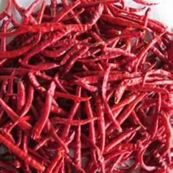 Stemless Red Chilli