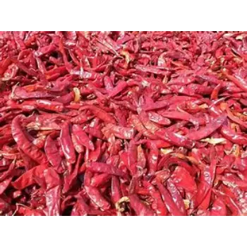 Common Stemless Red Chilli